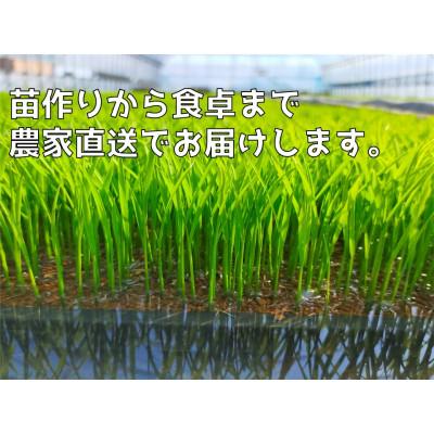 ふるさと納税 弥彦村 新潟県弥彦村石井農園　令和7年産 コシヒカリ【玄米 20kg】_3