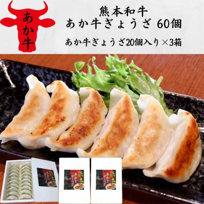 ふるさと納税 八代市 熊本和牛あか牛ぎょうざ 60個(あか牛ぎょうざ20個入り×3箱)(八代市)
