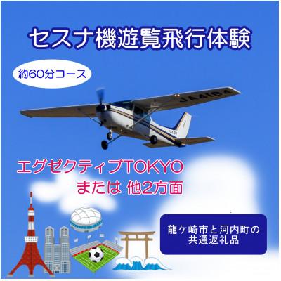 ふるさと納税 河内町 [3名]セスナ機遊覧飛行体験[約60分コース](フライトN・O・P)