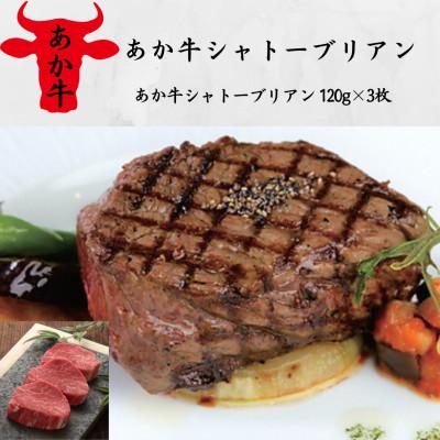 ふるさと納税 八代市 あか牛シャトーブリアン(あか牛シャトーブリアン120g×3枚)(八代市)