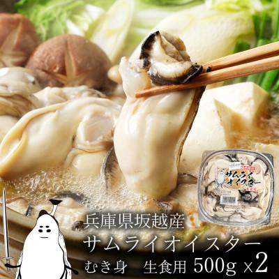 ふるさと納税 赤穂市 坂越産　生牡蠣むき身500g×2パック　サムライオイスター　生食用 | 