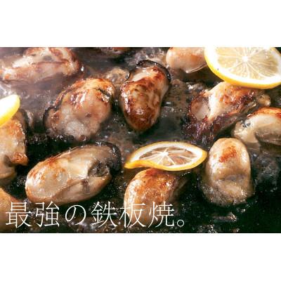ふるさと納税 赤穂市 坂越産　生牡蠣むき身500g×2パック　サムライオイスター　生食用 |  | 03