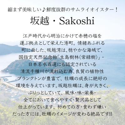 ふるさと納税 赤穂市 坂越産生牡蠣殻付き22個　サムライオイスター　生食用　※牡蠣ナイフセットはついておりません |  | 01