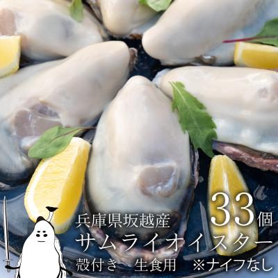 ふるさと納税 赤穂市 坂越産生牡蠣殻付き33個　サムライオイスター　生食用　※牡蠣ナイフセットはついておりません | 
