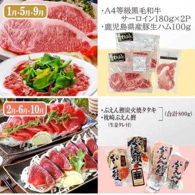 ふるさと納税 枕崎市 定期便4回配送　お肉とお魚のよくばり定期便　EE0-0001 |  | 01