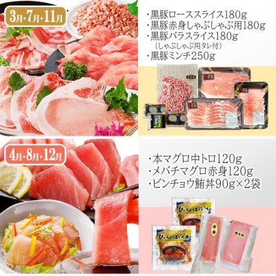 ふるさと納税 枕崎市 定期便4回配送　お肉とお魚のよくばり定期便　EE0-0001 |  | 02