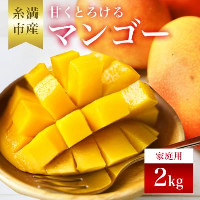 ふるさと納税 糸満市 [2026年発送]かねよしマンゴーの甘くとろけるマンゴー2kg(家庭用)