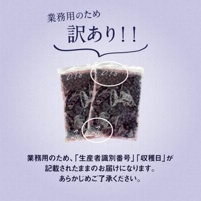 ふるさと納税 八女市 【訳あり】国産冷凍ブルーベリー(2kg[1kg×2袋