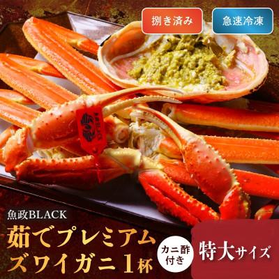 ふるさと納税 京丹後市 急速冷凍 茹でプレミアムズワイガニ魚政BLACK 特大サイズ 1杯 カニ酢付(2026年1月〜発送)