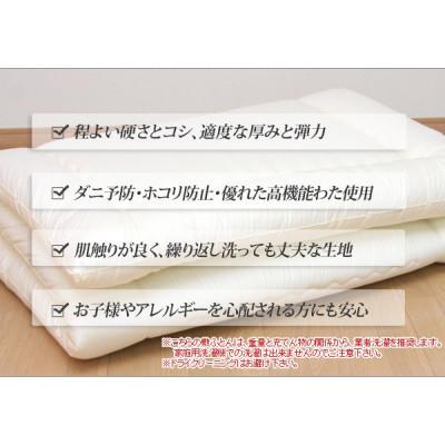 ふるさと納税 米原市 アラエマックス　ウォシュロン　洗える敷布団　シングル　硬質・中綿増量タイプ(araeru-0019)_3