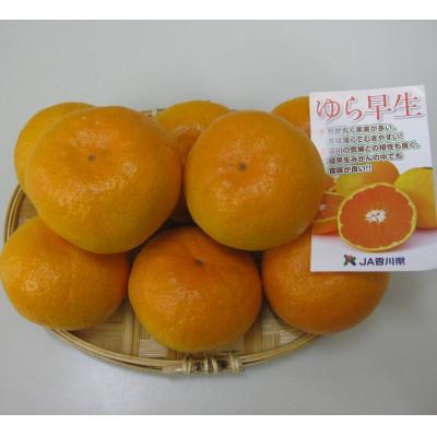 ふるさと納税 坂出市 ゆら早生みかん約5kg