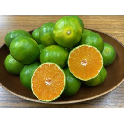 ふるさと納税 坂出市 坂出市産 極早生みかん 約10kg