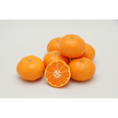 ふるさと納税 八幡浜市 温州みかん[家庭用]約3kg[B76-15]