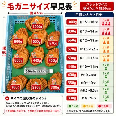 ふるさと納税 白老町 【浜ゆで自社タグ付】北海道産ボイル毛ガニ600g〜660g前後×1尾 |  | 02