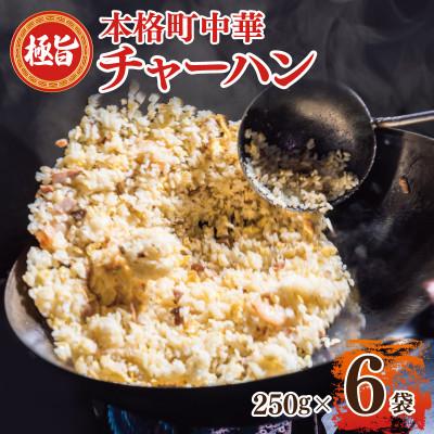 ふるさと納税 泉佐野市 極旨 チャーハン 250g×6袋 本格町中華 冷凍 小分け 簡単調理 6人前 010B1472