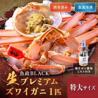 ふるさと納税 京丹後市 急速冷凍 生プレミアムズワイガニ魚政BLACK特大サイズ 1杯(11月〜12月発送)香味ミスト付き