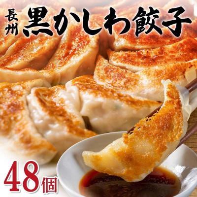 ふるさと納税 山陽小野田市 長州黒かしわ餃子 48個入り