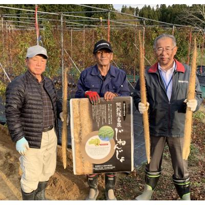 ふるさと納税 平田村 季節限定「じねんじょ」(12月〜1月)