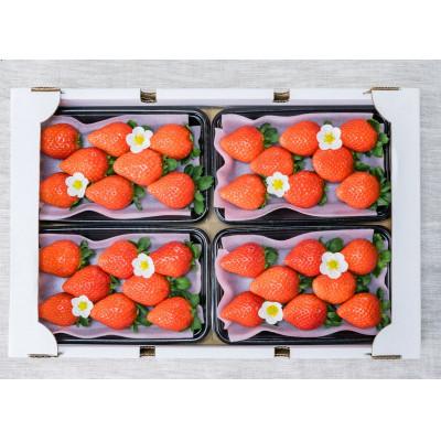 ふるさと納税 西条市 [先行予約]摘みたて完熟いちご「愛〜めぐみ〜」2025年12月頃より順次発送予定