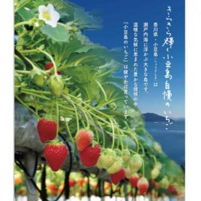 ふるさと納税 小豆島町 【先行受付2026年】小豆島女峰いちご 化粧箱入り 約400g |  | 01