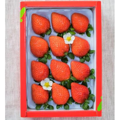 ふるさと納税 西条市 [先行予約]日野苺「雅〜みやび〜」化粧箱入り 2025年12月頃より順次発送予定