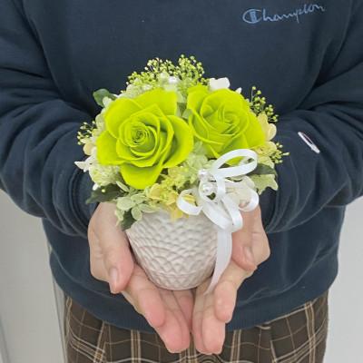 ふるさと納税 春日部市 シュガーパインのプリザーブドフラワーアレンジ〔フローラ/ライトグリーン〕春日部市 |  | 02