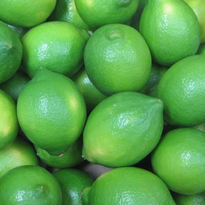 ふるさと納税 小豆島町 小豆島グリーンレモン 2kg |  | 01