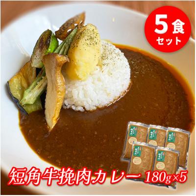 ふるさと納税 盛岡市 肉専門レストラン「パイオニアファーム」 短角牛挽肉カレー5食セット