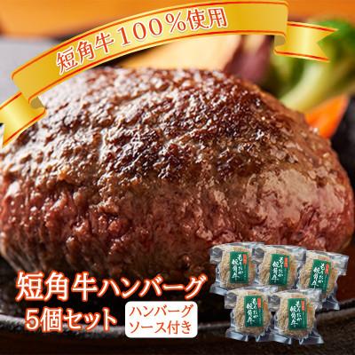 ふるさと納税 盛岡市 肉専門レストラン「パイオニアファーム」 短角牛100%使用! 短角牛焼き上げハンバーグ5個セット