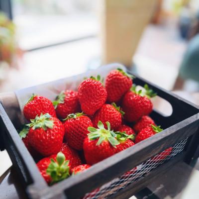 ふるさと納税 湯浅町 &lt;先行受付&gt;農家直送 朝摘み完熟まりひめいちご 約300g×2パック