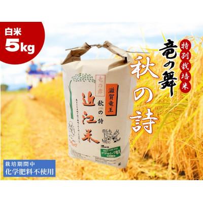 ふるさと納税 竜王町 [2024年産]竜の舞 秋の詩5kg
