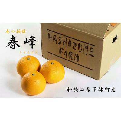 ふるさと納税 和歌山市 「春峰(しゅんぽう)」3kg 和歌山生まれの希少品種、3月より春の柑橘を順次発送予定!