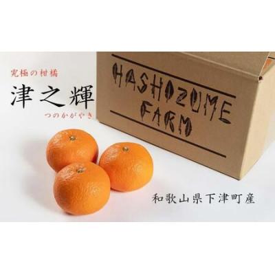 ふるさと納税 和歌山市 「津之輝(つのかがやき)」3kg 濃厚な甘みと芳醇な香り。3月より春の柑橘を順次発送予定!