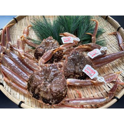 ふるさと納税 岩美町 鳥取県網代産 訳あり松葉がに1kgセット