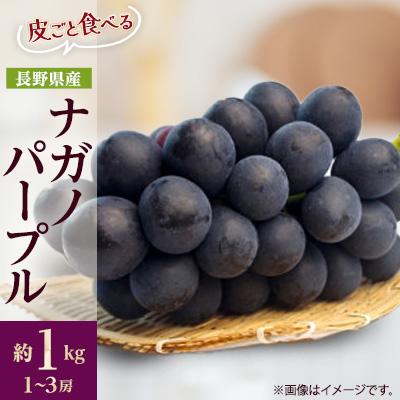 ふるさと納税 中野市 【2026年先行受付】フルーツ王国信州産地直送　皮ごと食べられるナガノパープル　約1kg(1〜3房) | 