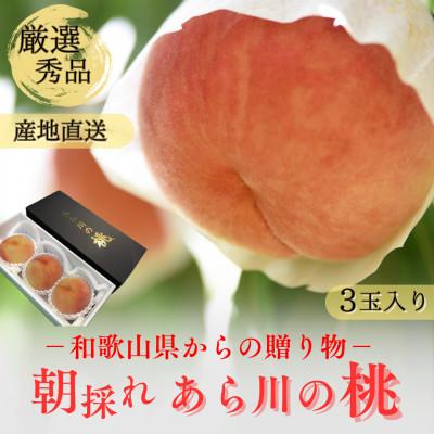 ふるさと納税 紀の川市 名産「あら川の桃」 秀品 約1.1kg(3個入)
