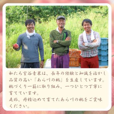 ふるさと納税 紀の川市 名産「あら川の桃」 秀品 約1.1kg(3個入)の画像
