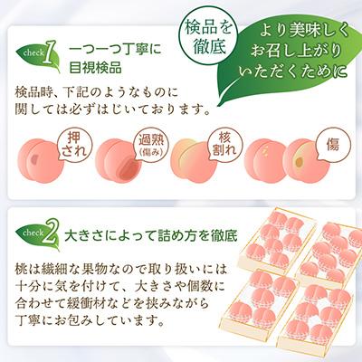 ふるさと納税 山梨市 【2027年(来年)発送　先行受付】山梨厳選旬の桃 約1kg(3〜4玉) |  | 03