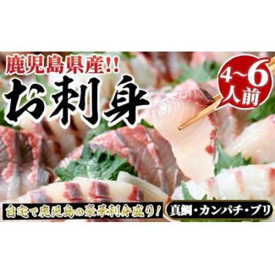 ふるさと納税 阿久根市 厳選お刺身BOX(4〜6人前) さるがく水産 a-20-28