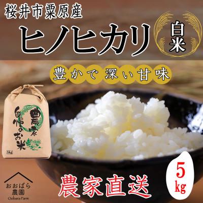 ふるさと納税 桜井市 [白米]桜井市粟原産ヒノヒカリ 5kg