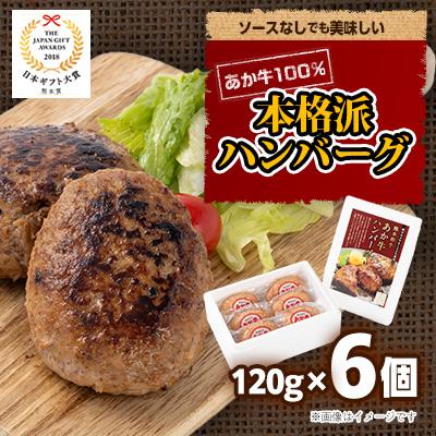 ふるさと納税 水上村 あか牛100%ハンバーグセット(あか牛ハンバーグ120g×6個)(水上村)