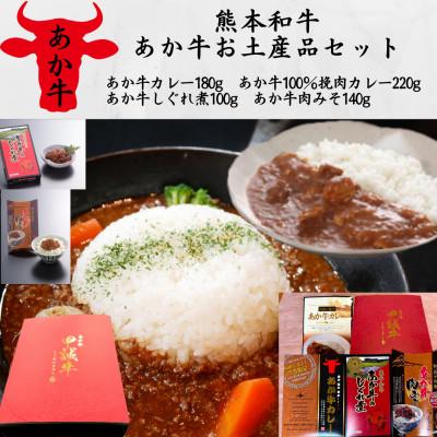ふるさと納税 水上村 あか牛お土産品セット(カレー180g、挽肉カレー220g、しぐれ煮100g、肉みそ140g)(水上村