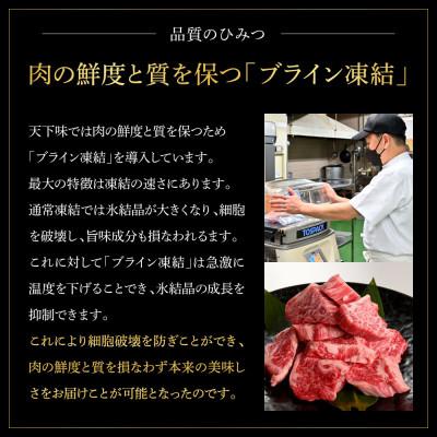 ふるさと納税 土佐市 土佐和牛 特選ヒレ肉サイコロステーキ500g×4　田野屋銀象完全天日塩4P付き_3