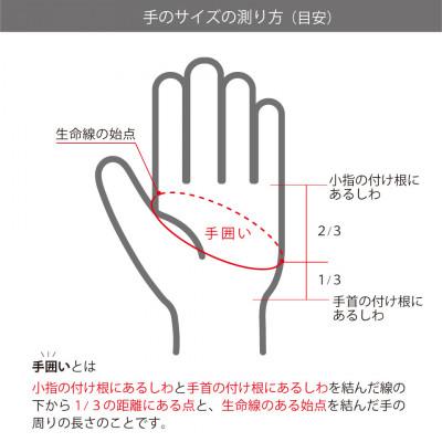 ふるさと納税 東かがわ市 メンズゴルフグローブ　H-ONE GRAPHIC MODEL (ペンキ)24cm_2