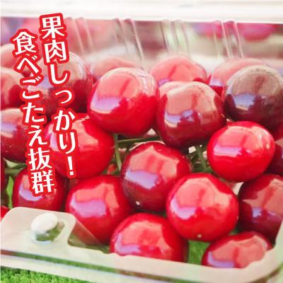 ふるさと納税 豊丘村 【丘の上さくらんぼ園】紅秀峰　500g 大満足の食べ応え!　2027年6月より順次発送 |  | 01