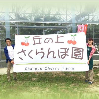 ふるさと納税 豊丘村 【丘の上さくらんぼ園】紅秀峰　500g 大満足の食べ応え!　2027年6月より順次発送 |  | 03