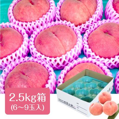 ふるさと納税 豊丘村 【丘の上ファーム】もも『夏雄美』2.5kg (6〜9玉) 2026年7月発送の画像