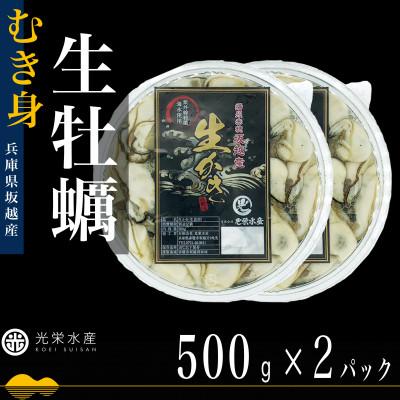 ふるさと納税 赤穂市 [生食OK]坂越かき 剥き身生牡蠣 500g×2