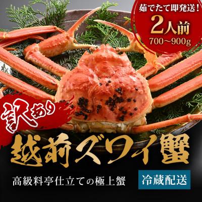 ふるさと納税 福井市 [11〜12月に発送]蟹料理店の訳あり茹で越前がにズワイガニ中1杯(700〜900g、姿で発送)