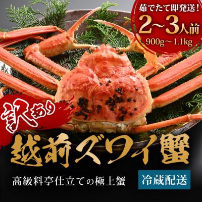 ふるさと納税 福井市 [11〜12月に発送]蟹料理店の訳あり茹で越前がにズワイガニ大1杯(900g〜1.1kg、姿で発送)